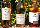 Discover French rosé wine regions