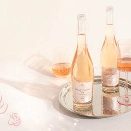 Beyond the Glass: French Rosé Wine Regions