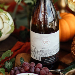 Perfect Pairings for Thanksgiving Dinner with 90+ Cellars