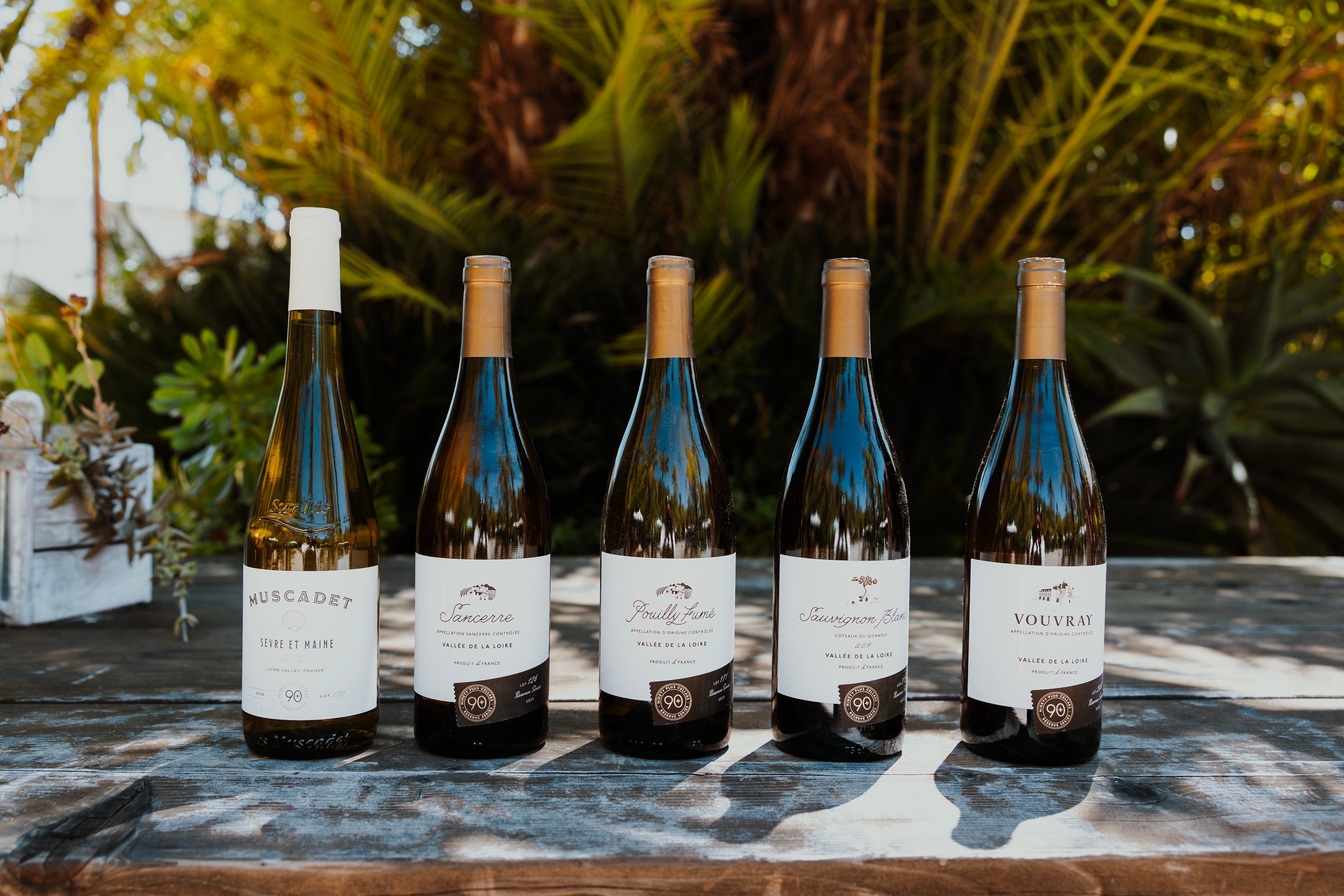 Explore Loire Valley Wines from 90+ Cellars